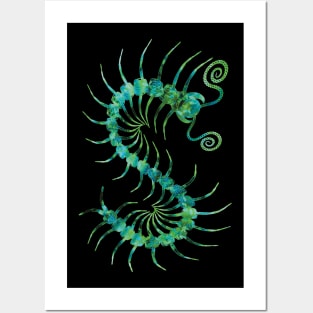 Nature Centipede Posters and Art